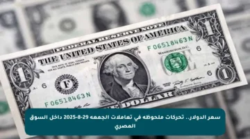 سعر الدولار.. تحركات ملحوظة في تعاملات الجمعة 29-8-2025 داخل السوق المصري